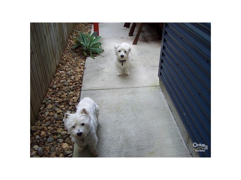 186a Macdonnell Road, Margate QLD 4019