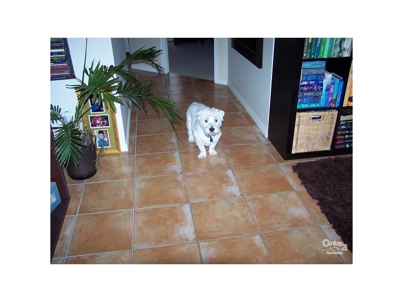 186a Macdonnell Road, Margate QLD 4019