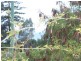4 Caroline Street, Woody Point QLD 4019