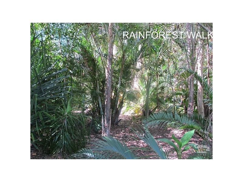 34 Jodi Close, Ningi QLD 4511