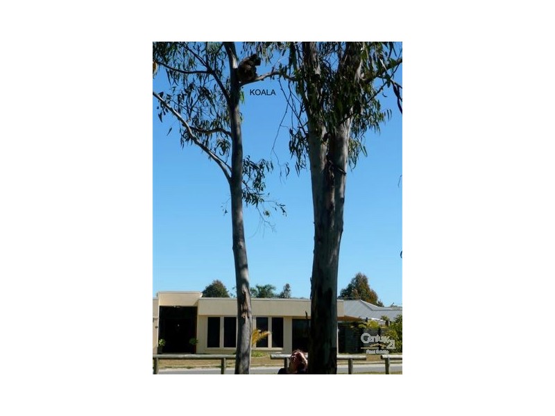 66 Fleet Drive, Kippa-ring QLD 4021