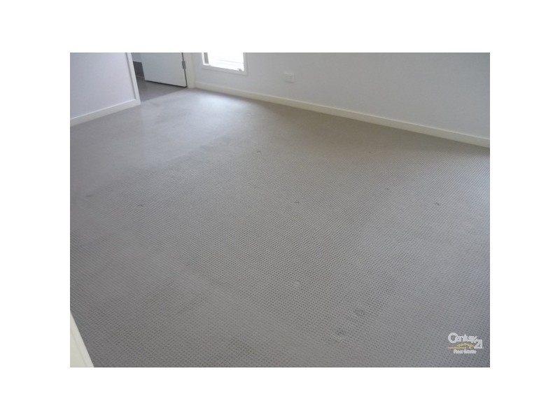 51 Collins Street, Woody Point QLD 4019