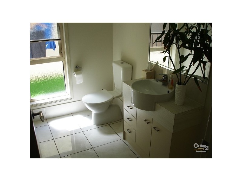 56 LIONHEART CRESCENT, Newport QLD 4020