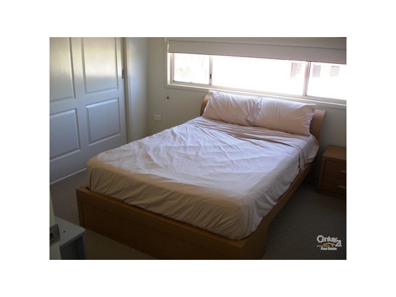 56 LIONHEART CRESCENT, Newport QLD 4020