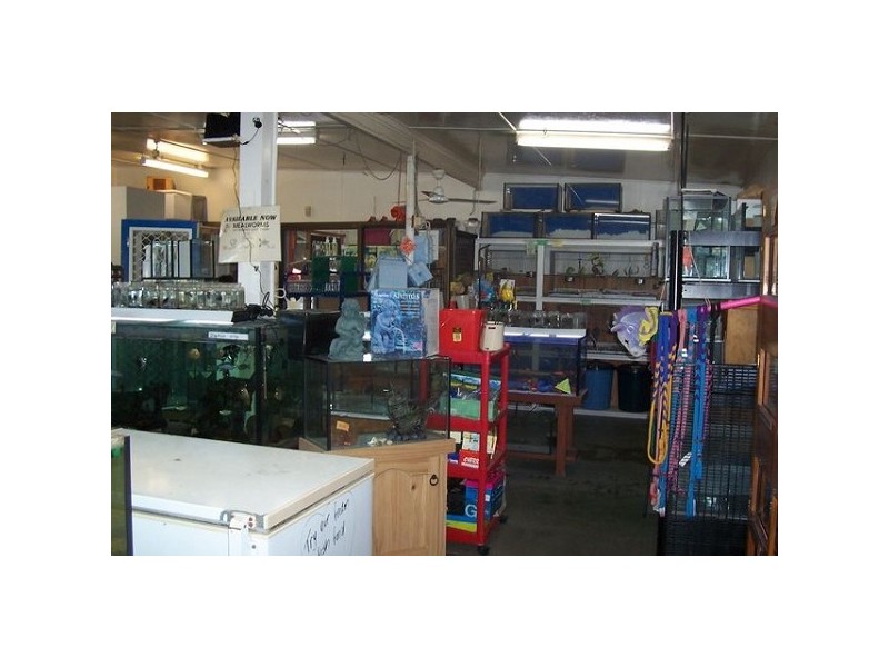 28a Kennedy Street, Bowen QLD 4805