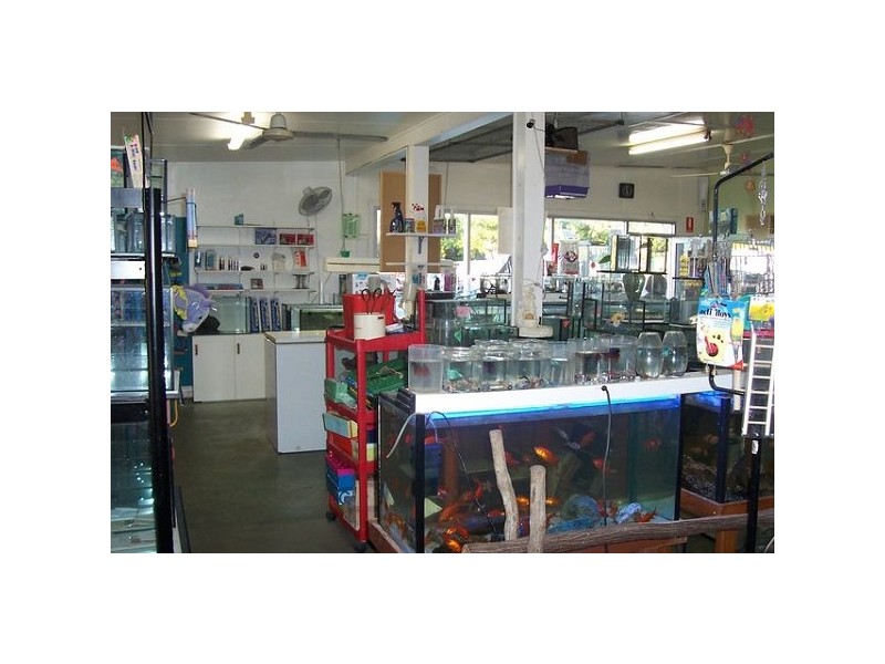 28a Kennedy Street, Bowen QLD 4805