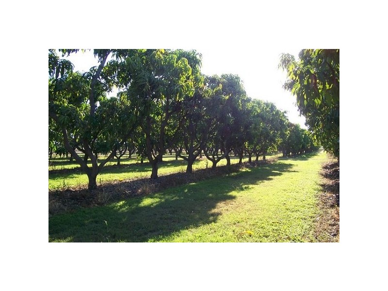 312 Richmond Road, Bowen QLD 4805