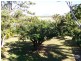 14 Avicennia Street, Bowen QLD 4805