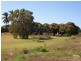 Lot 372 Lemon Grove Road, Bowen QLD 4805