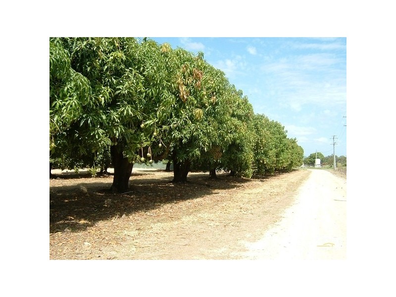 258 Kelsey Road, Bowen QLD 4805