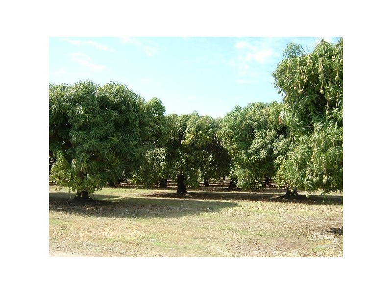 258 Kelsey Road, Bowen QLD 4805