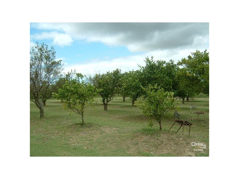 240 East Euri Road, Bowen QLD 4805