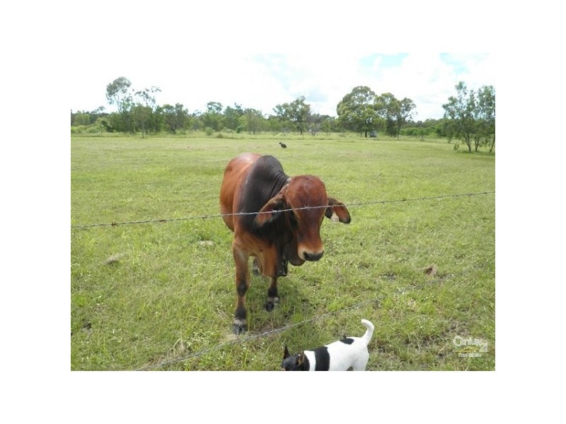 717 Bootooloo Road, Bowen QLD 4805