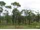 Lot 2 1100 Mt Dangar Road, Bowen QLD 4805