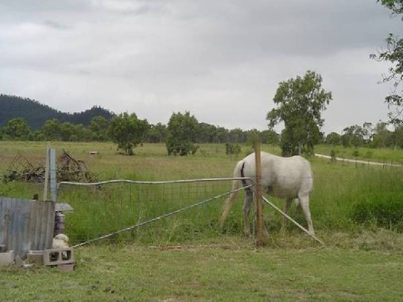 2009 Collinsville Road, Bowen QLD 4805