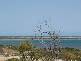 21 Harbour View Terrace, Bowen QLD 4805