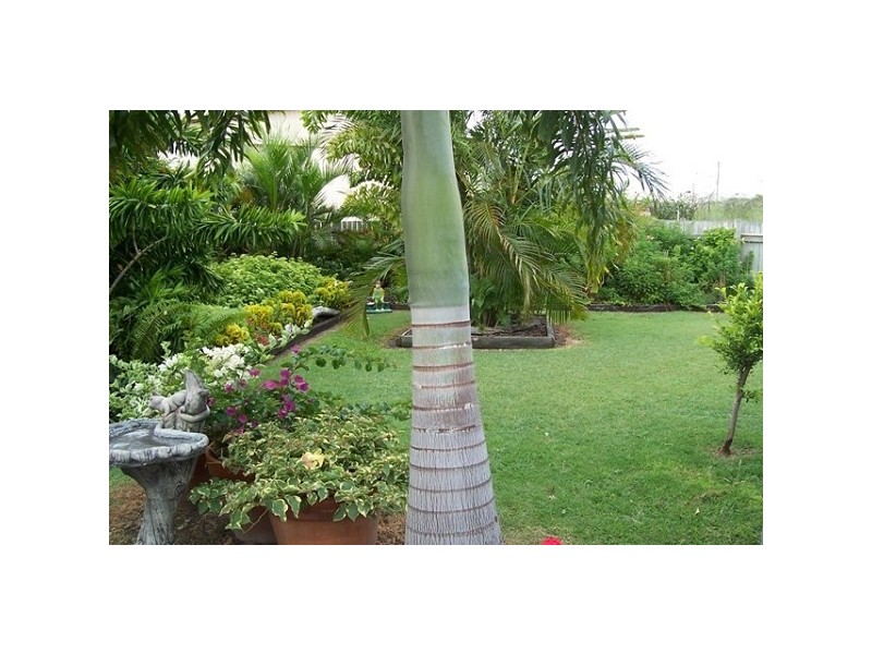 68 Dalrymple Street, Bowen QLD 4805