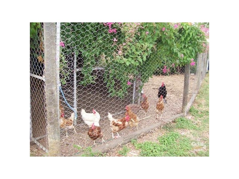 8 Heronvale Road, Bowen QLD 4805