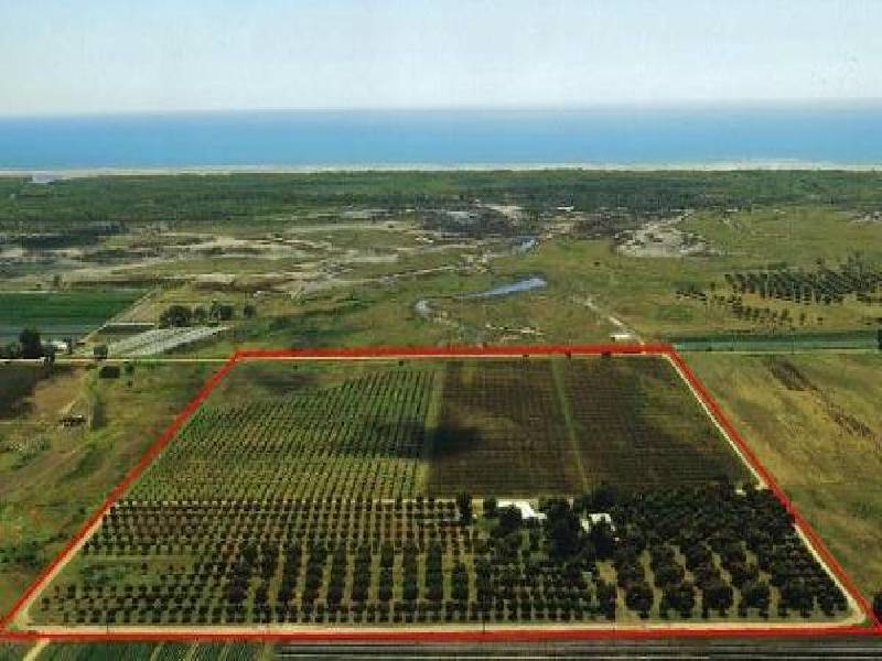 82 Weekes Road, Bowen QLD 4805