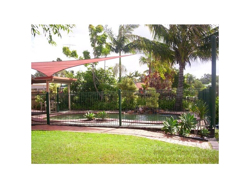 17 Cootamundra Drive, Mountain Creek QLD 4557