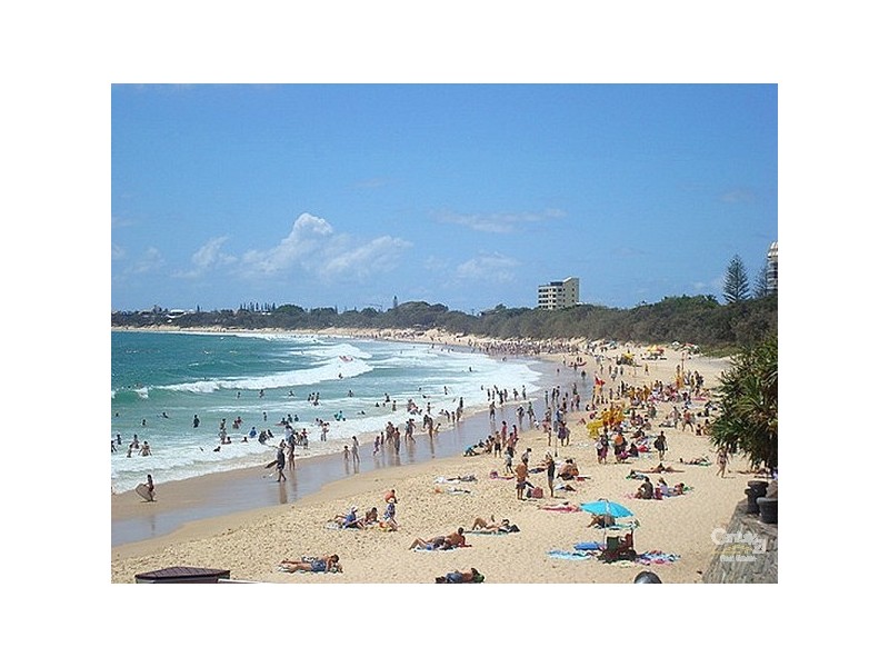 Mooloolaba QLD 4557