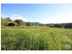 Eumundi QLD 4562