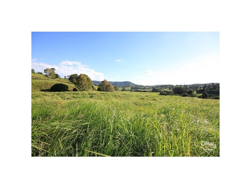 Eumundi QLD 4562