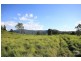 Eumundi QLD 4562