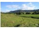 Eumundi QLD 4562