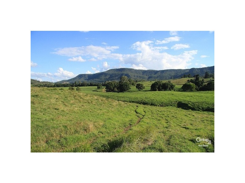 Eumundi QLD 4562