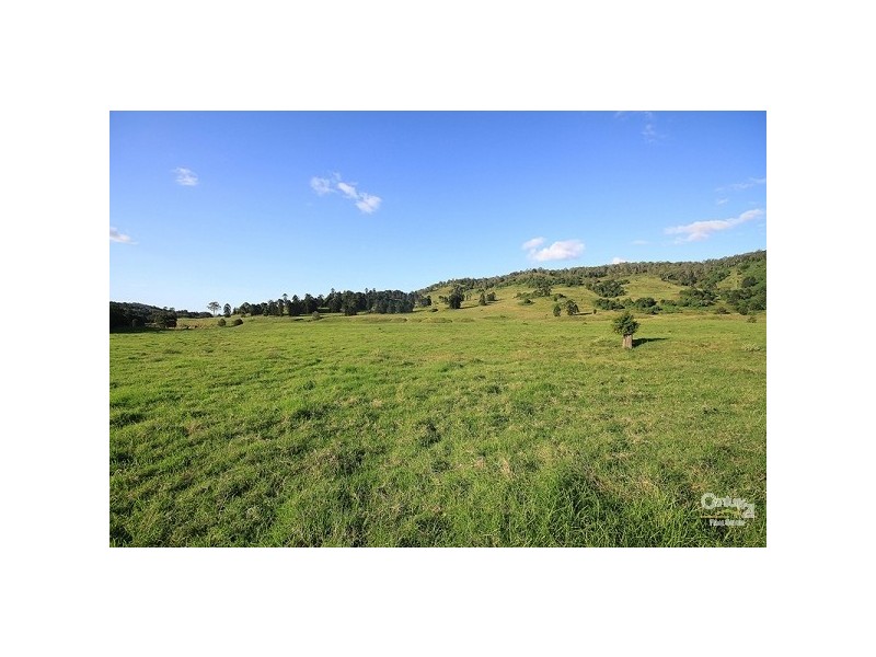 Eumundi QLD 4562