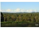 Eumundi QLD 4562