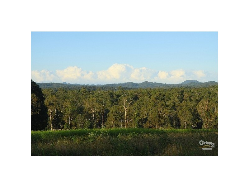 Eumundi QLD 4562