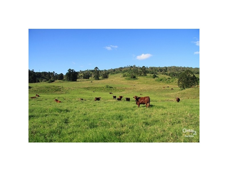 Eumundi QLD 4562