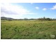 Eumundi QLD 4562