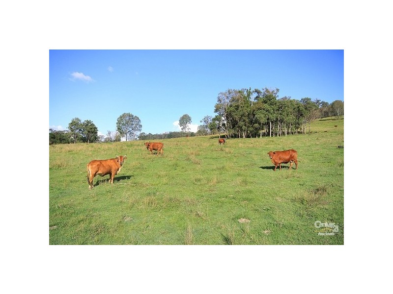 Eumundi QLD 4562
