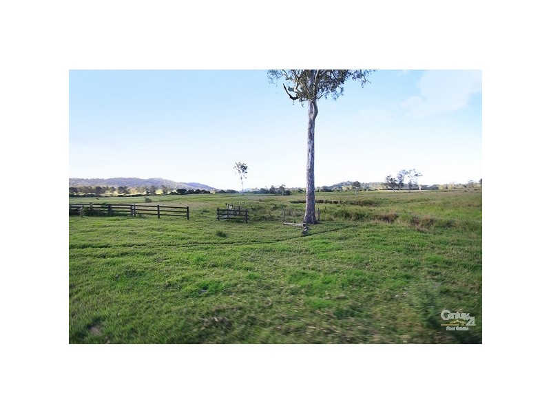 Eumundi QLD 4562