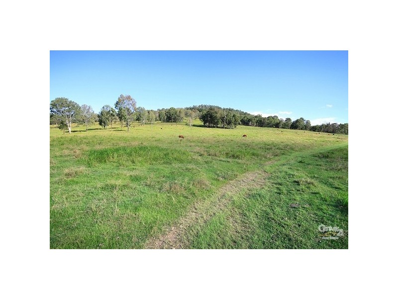 Eumundi QLD 4562