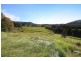 Eumundi QLD 4562