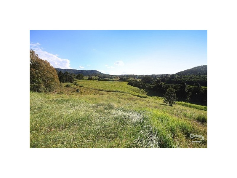 Eumundi QLD 4562