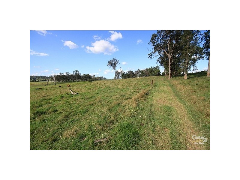 Eumundi QLD 4562