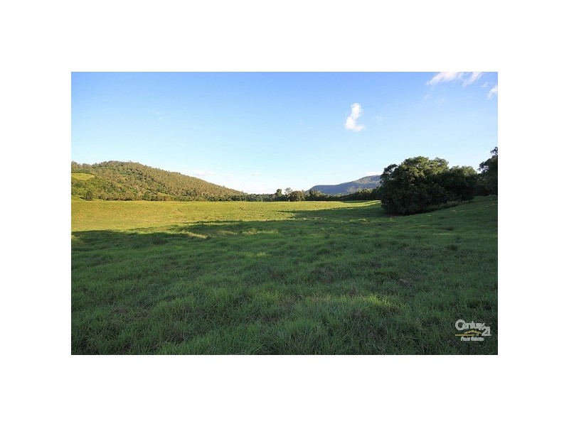 Eumundi QLD 4562