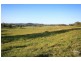 Eumundi QLD 4562