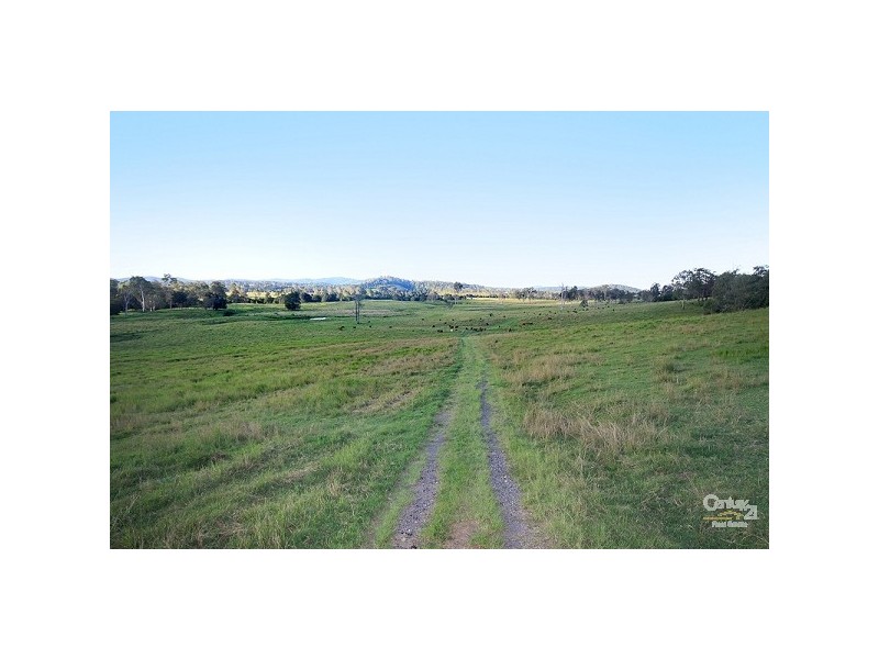 Eumundi QLD 4562