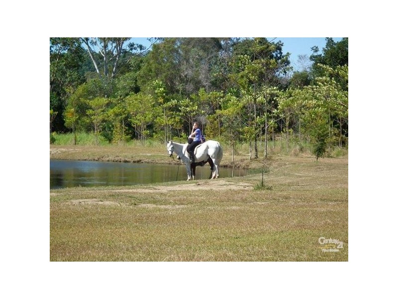 179 Eudlo Flats Road, Diddillibah QLD 4559