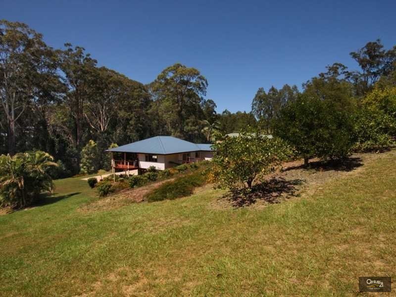 14 Bushbird Court, Diddillibah QLD 4559