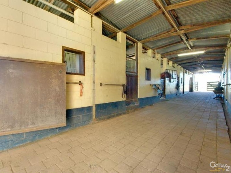 384 Blackall Range Road, Woombye QLD 4559