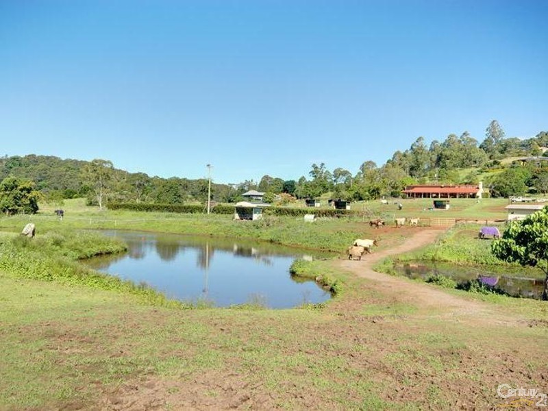 384 Blackall Range Road, Woombye QLD 4559