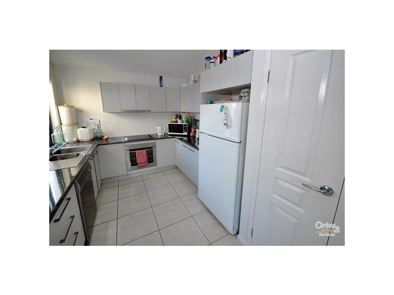 20 Yellow Fin Circuit, Mountain Creek QLD 4557