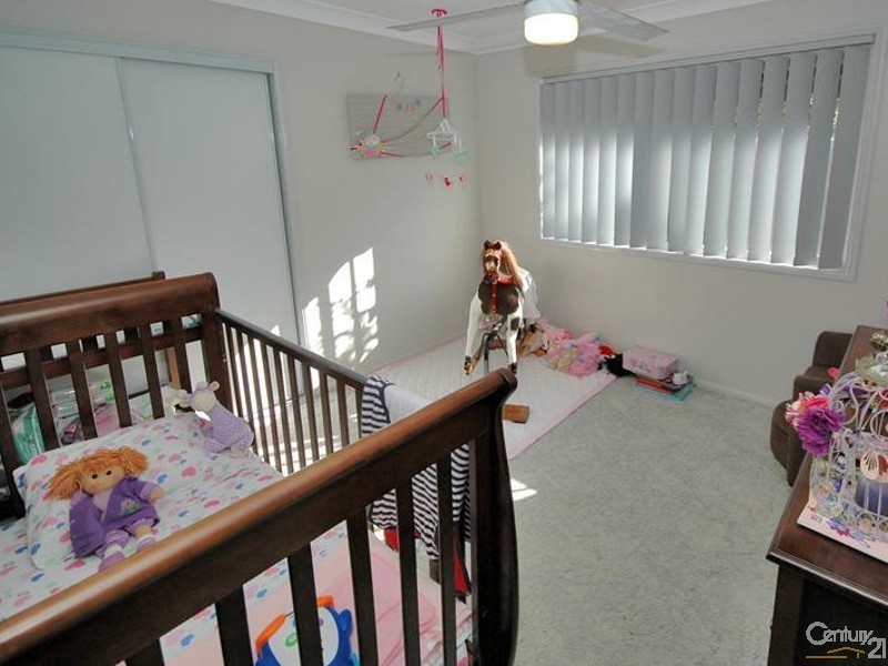 12 Carib Court, Mountain Creek QLD 4557